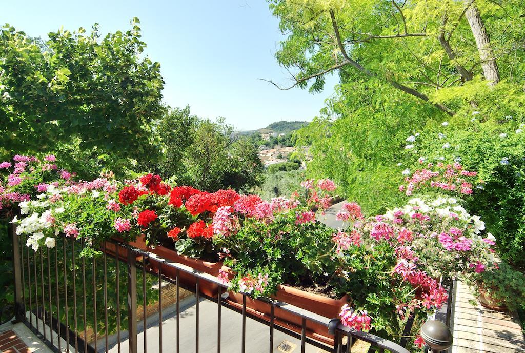 Villa Fiorita Grottammare Kültér fotó